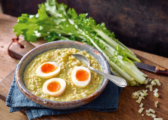 REZ-Stielmus-S66_RGB-72dpi