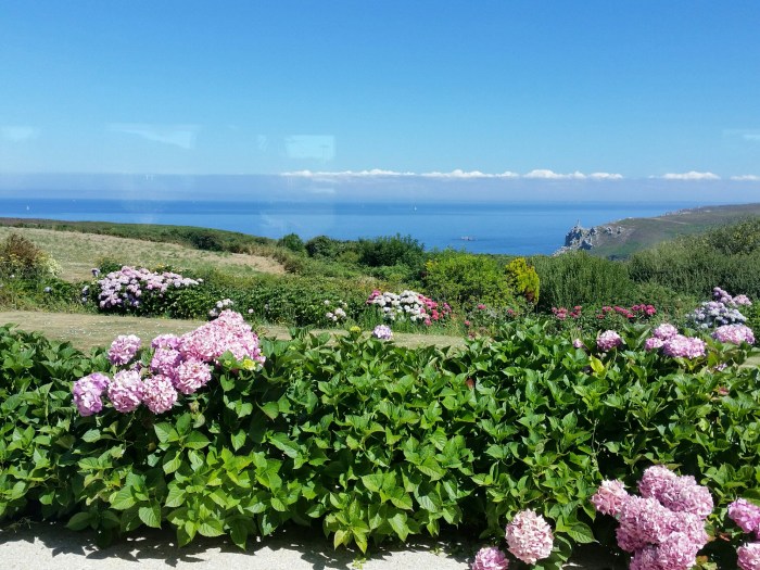 20180722_122257_1532279711105_resized