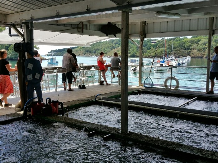 20180724_151327_1532457692494_resized