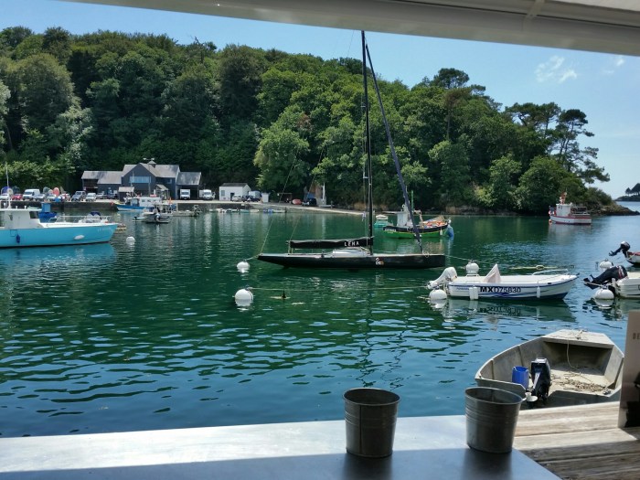 20180724_151343_1532457694661_resized