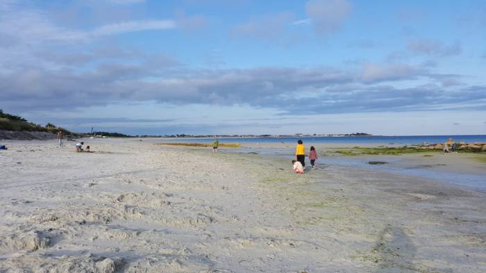 IMG-20180720-WA0052_1532153023258