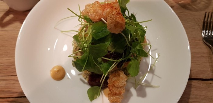 thumbnail_20190216_190534