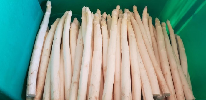 thumbnail_20190509_094905