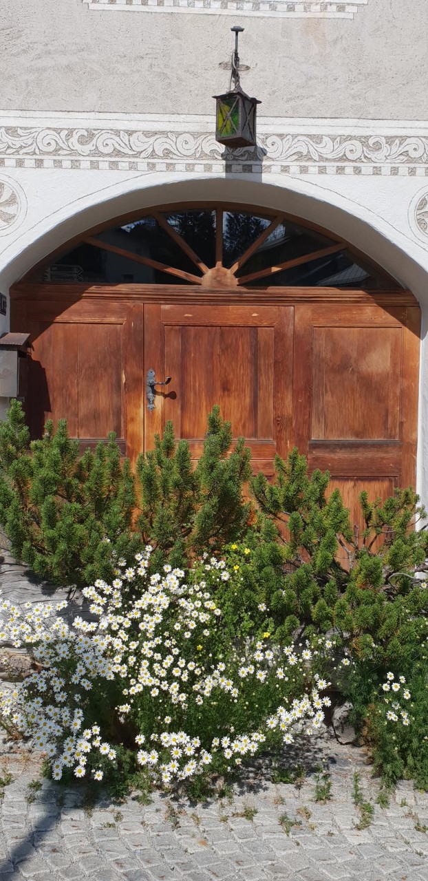 thumbnail_20190724_162858