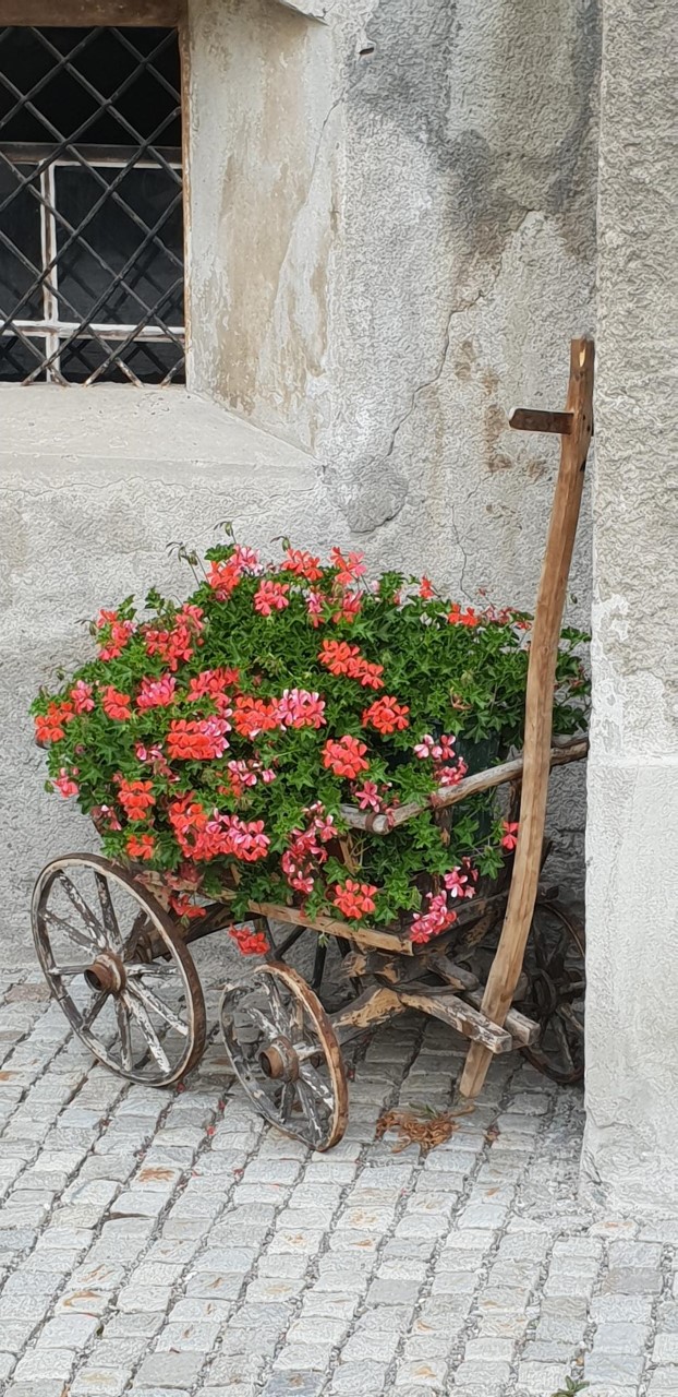 thumbnail_20190724_190835