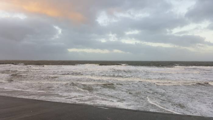 IMG-20190113-WA0014 - Kopie - Kopie